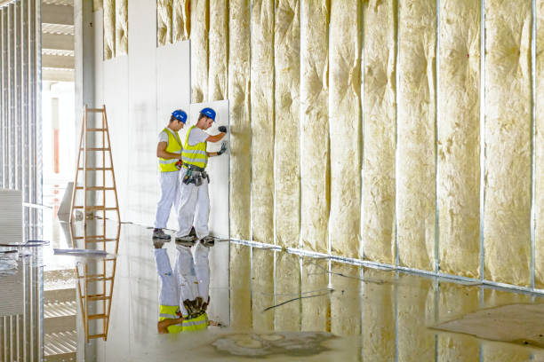 Best Types of Insulation in Village Shires, PA